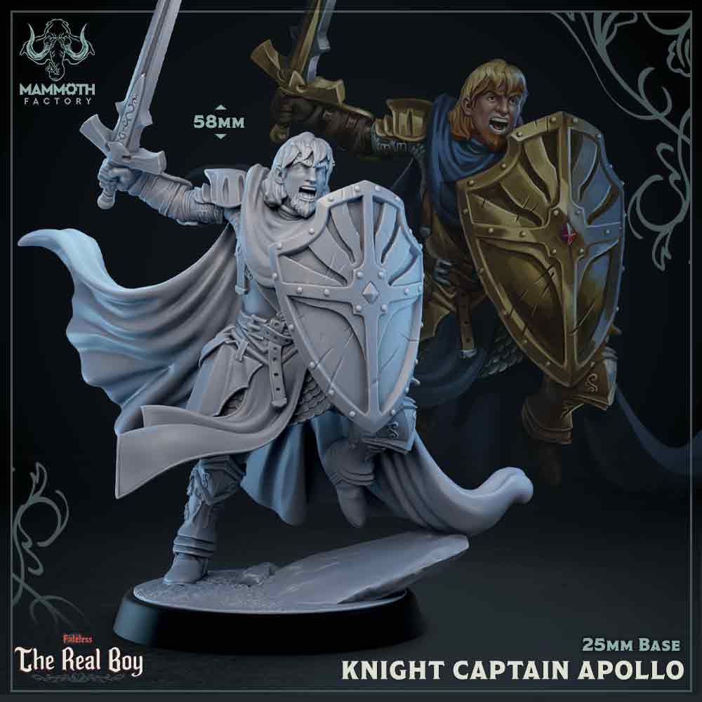 Knight Captain Apollo (Male Human Paladin) Main image