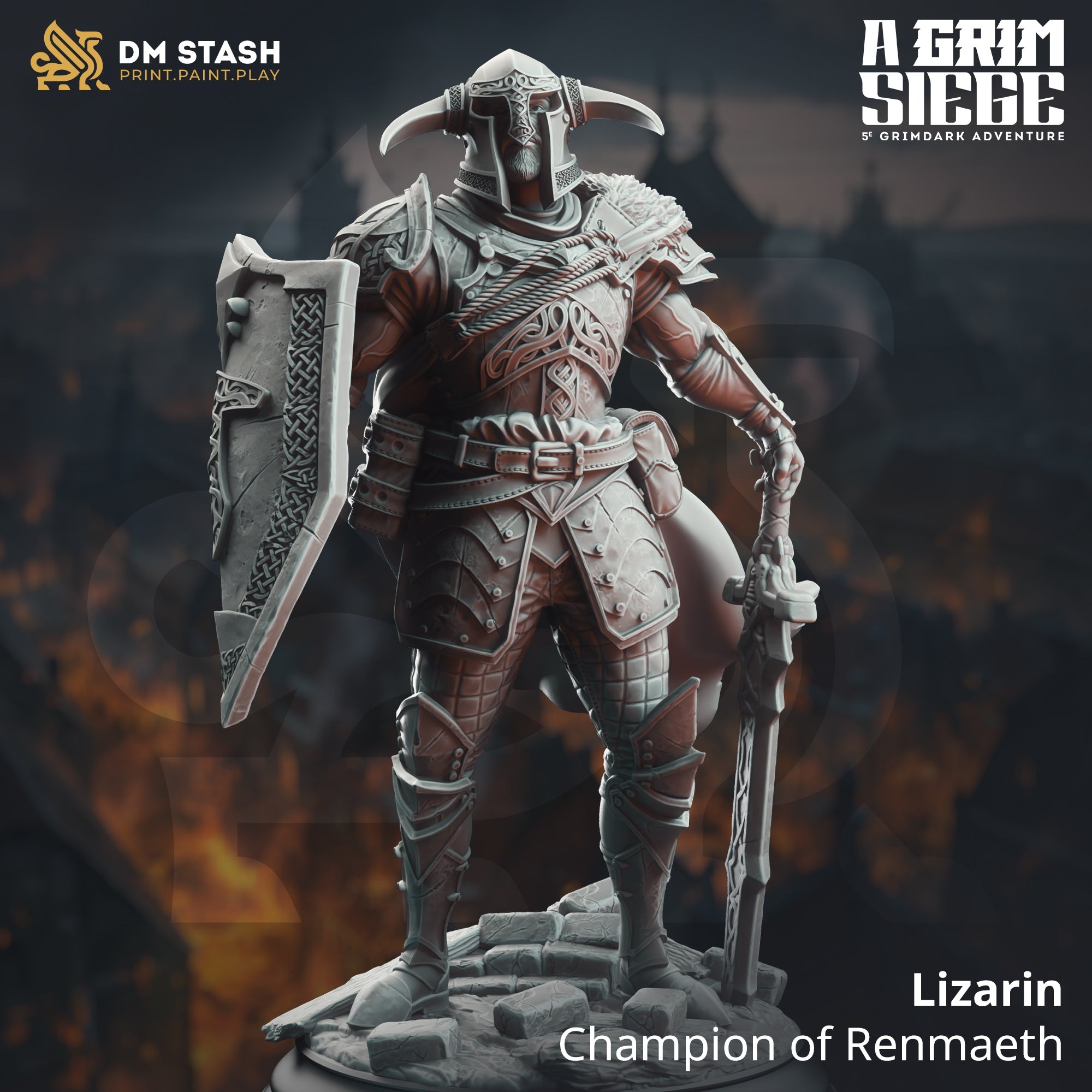 Lizarin, Champion of Renmaeth (Male Human Paladin) Main image