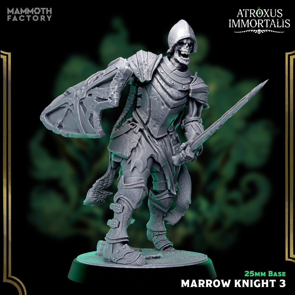 Marrow Knight: Sculpt 3 (Skeleton Swordsman) Main image