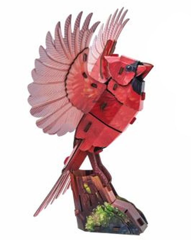 Sky Echo American Cardinal
