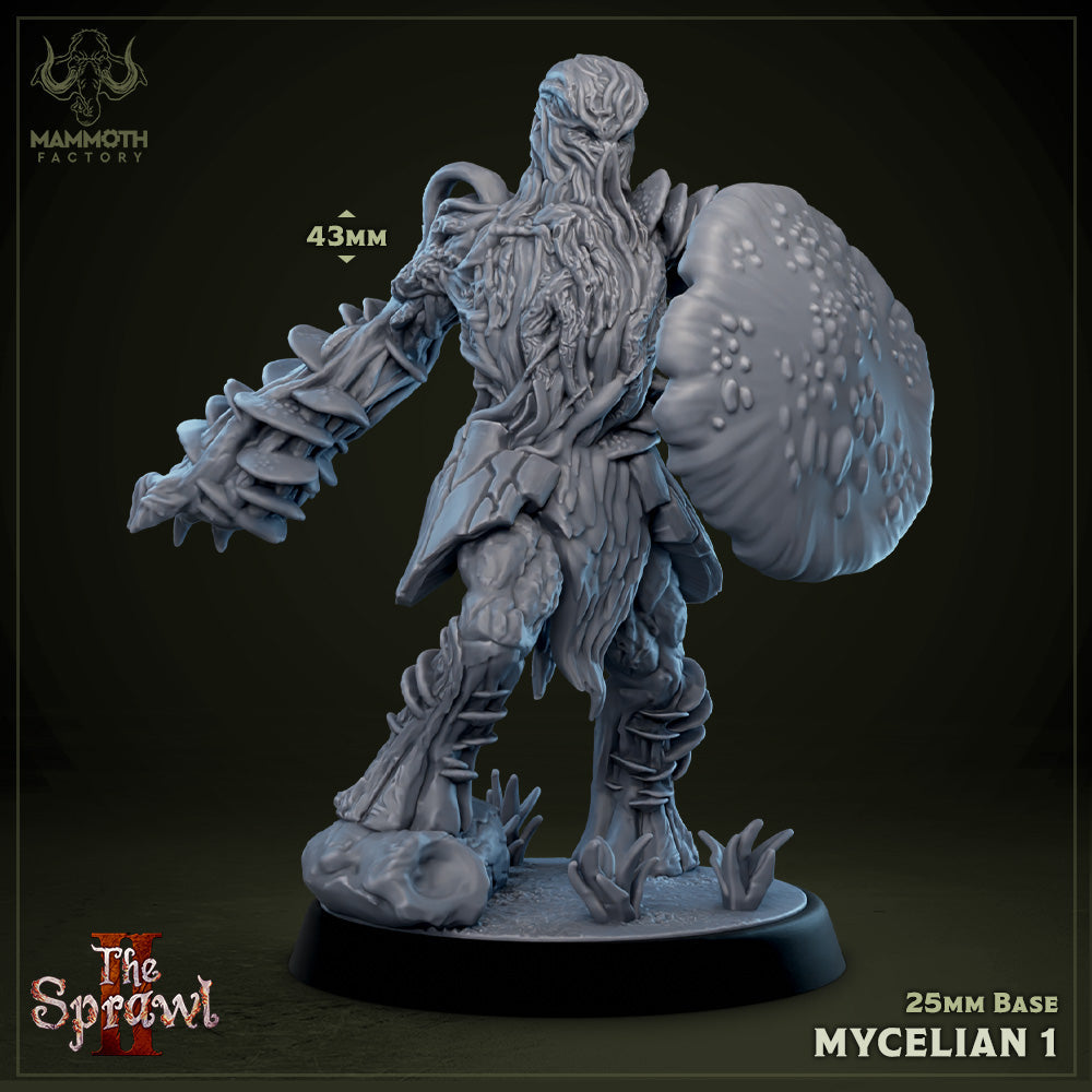 Mycelian 1 (Myconid Warrior) Main image