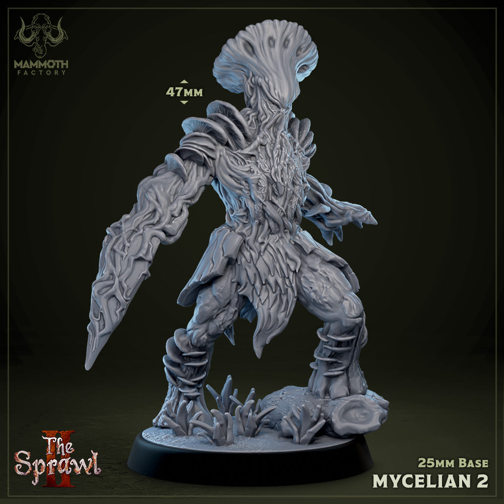 Mycelian 2 (Myconid Warrior) Main image