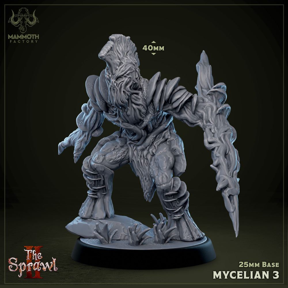 Mycelian 3 (Myconid Warrior) Main image