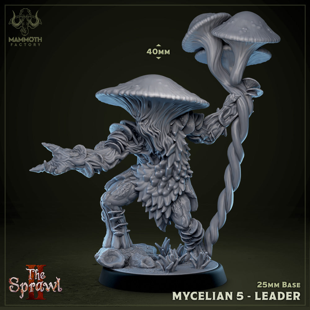Mycelian 5 (Myconid Warrior Leader) Main image
