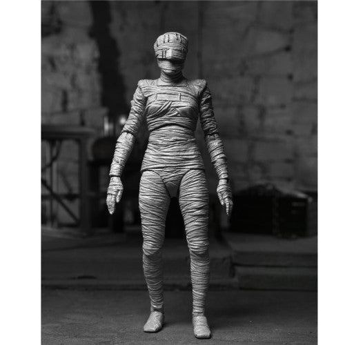 NECA Universal Monsters Figure - Select Figure(s) Hover Image