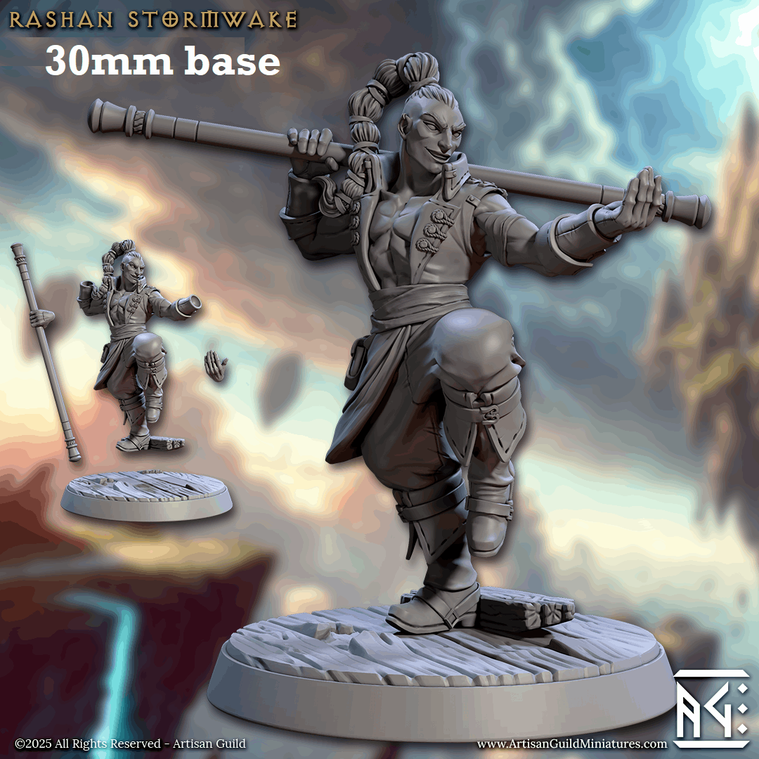 Rashan Stormwake (Male Human Monk) Main image
