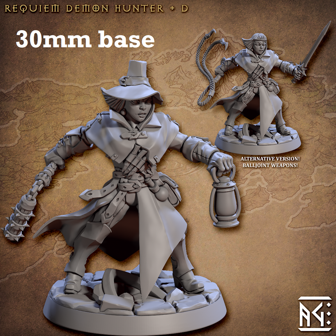Requiem Demon Hunter: Sculpt D (Female Human Fighter) Main image
