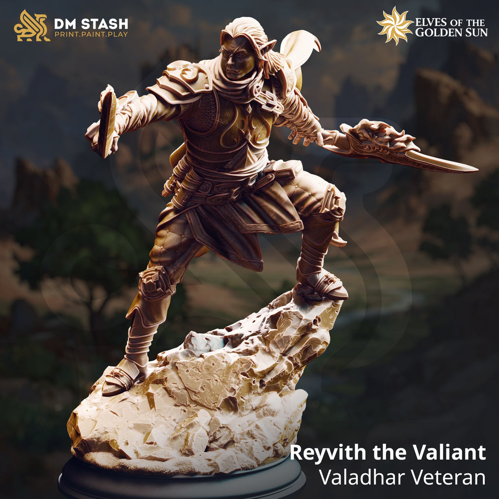 Reyvith the Valiant, Valadhar Veteran (Male Sun Elf Fighter)