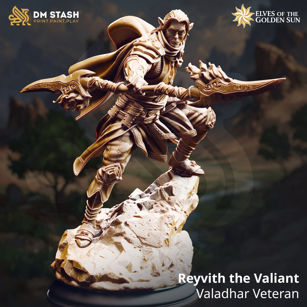 Reyvith the Valiant, Valadhar Veteran (Male Sun Elf Fighter)