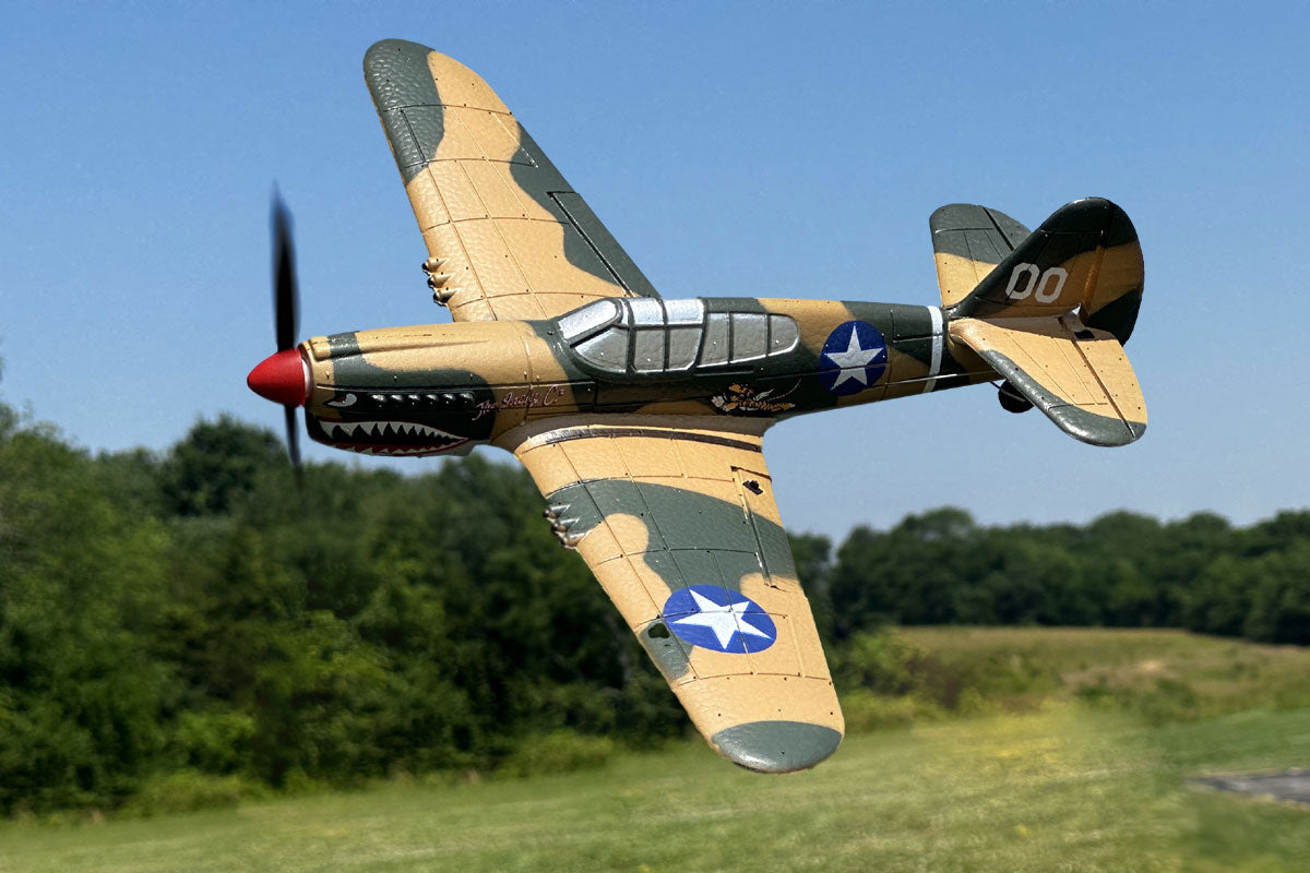 Curtiss P-40 Warhawk Micro RTF Airplane w/PASS System