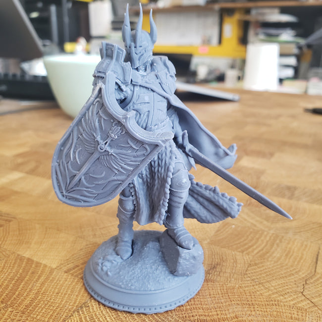 Caedes, Erdydion's Chosen Paladin (Male Paladin) Main Image