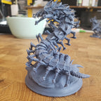 Conrad, Monarch of Many Faces (Big Fey Centipede) -