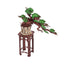 Robotime - Evergreen Pine Bonsai DIY Wooden 3D Puzzle