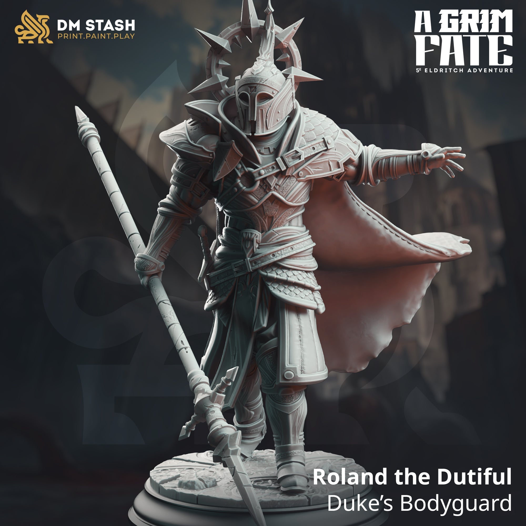 Roland the Dutiful, Duke's Bodyguard (Male Human Paladin) Main image