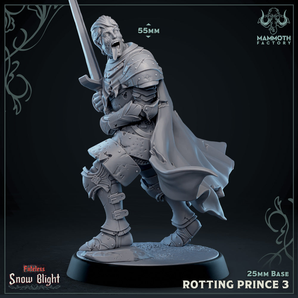 Rotting Prince 3 (Male Undead Human Noble) Main image