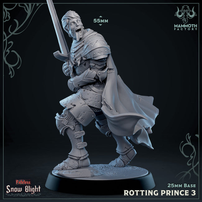 Rotting Prince 3 (Male Undead Human Noble) Hover Image