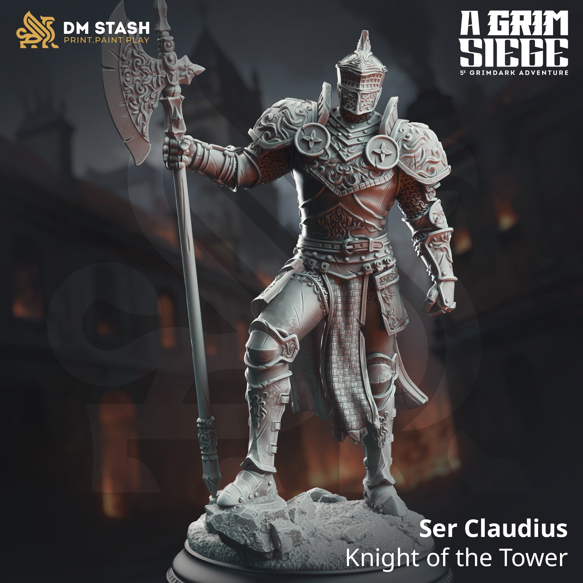 Ser Claudius, Knight of the Tower (Male Human Paladin) Main image