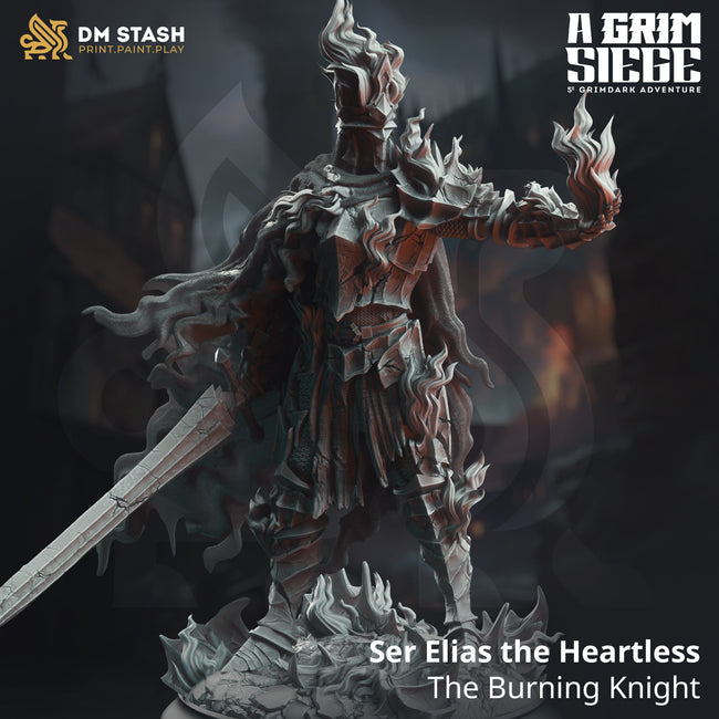 Ser Elias the Heartless, The Burning Knight (Male Human Cursed Paladin) Hover Image
