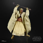 Star Wars The Black Series Archive 50th Anniversary - 6-Inch Action Figure - Select Figure(s) - Collectors World Toys
