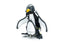 Mechanical Penguin