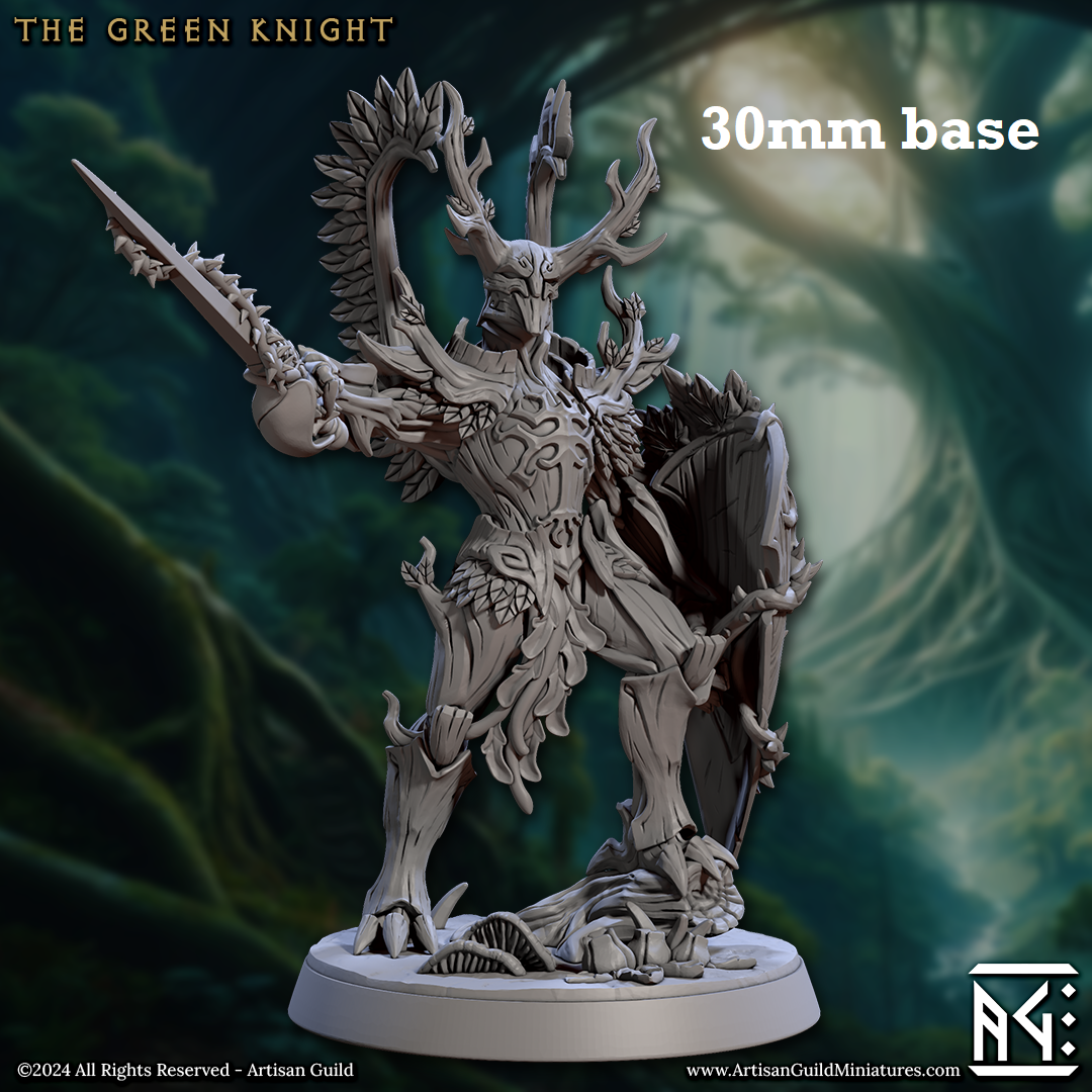The Green Knight (Spriggan Duelist) Main image
