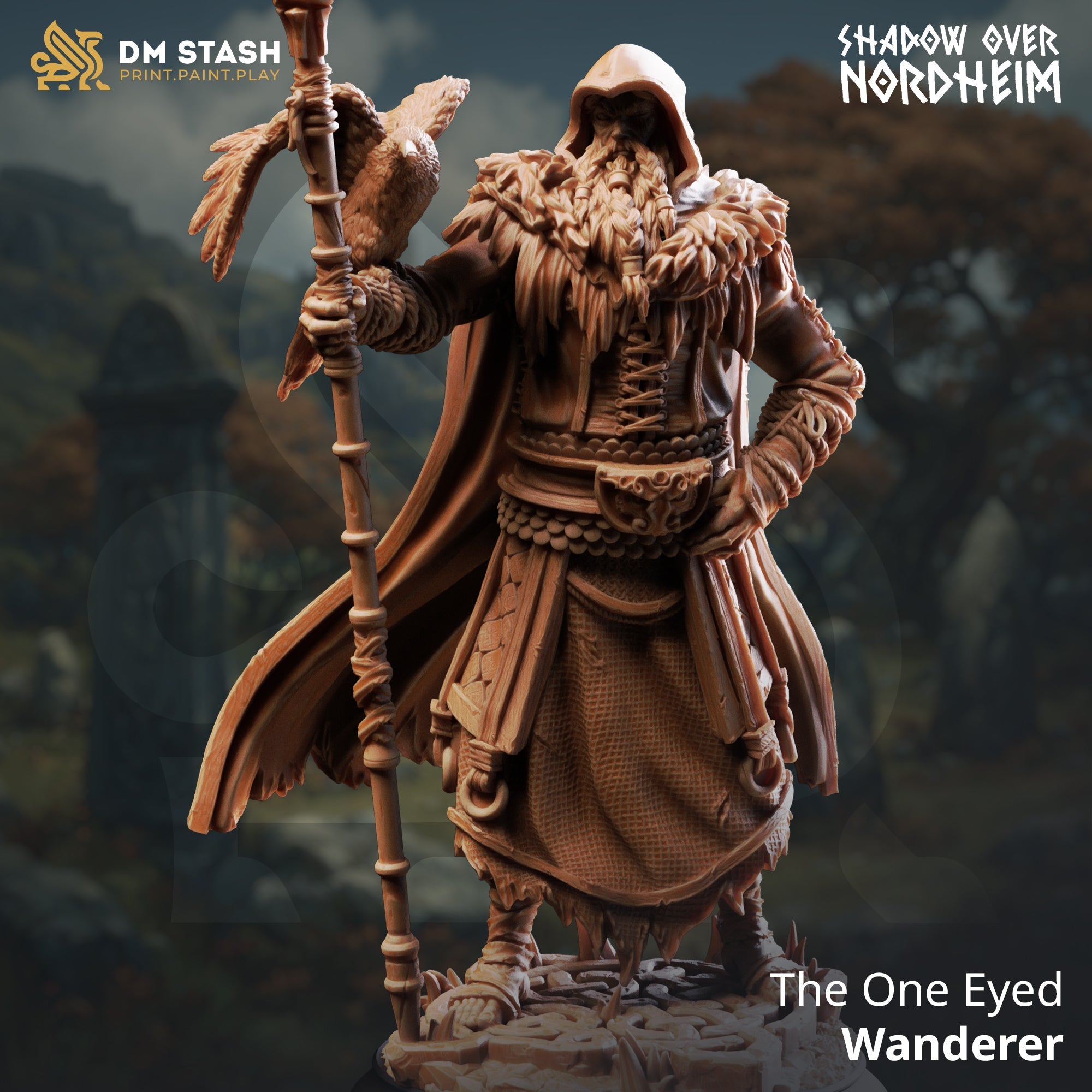 The One Eyed Wanderer (Male Human Cleric) Main image