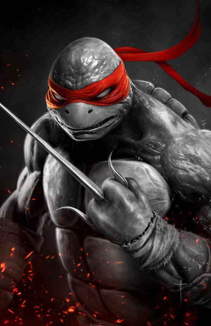 TEENAGE MUTANT NINJA TURTLES #1 (JAY FERGUSON EXCLUSIVE VIRGIN VARIANT A & B SET) ~ IDW TMNT