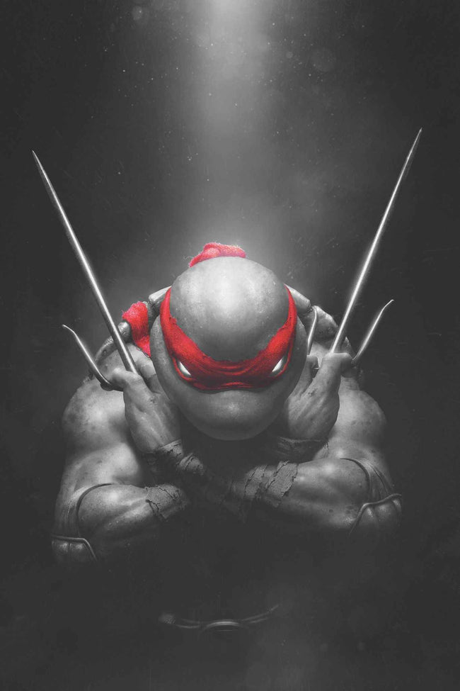 TEENAGE MUTANT NINJA TURTLES #1 (RAHZZAH EXCLUSIVE COLOR SPLASH VIRGIN VARIANT B) ~ IDW TMNT Hover Image