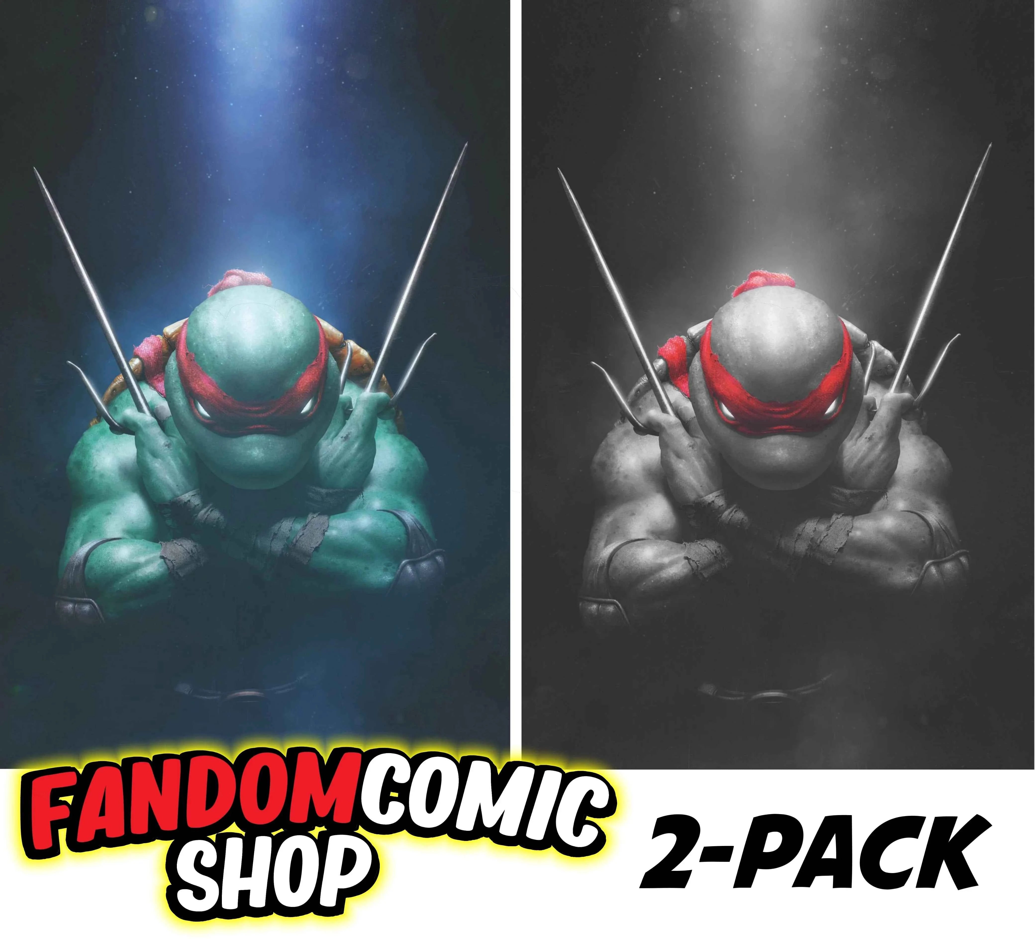 TEENAGE MUTANT NINJA TURTLES #1 (RAHZZAH EXCLUSIVE VIRGIN VARIANT A & B SET) ~ IDW TMNT Main image