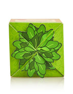 tokidoki Veggie Unicorno Blind Box (1 Blind Box) - Collectors World Toys