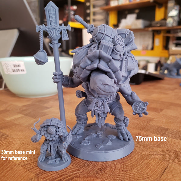 Tokun the Traveling Merchant (Male Turtlekin Merchant)