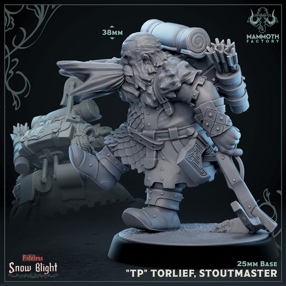 "TP" Torlief, Stoutmaster (Male Dwarf Fighter) Main image