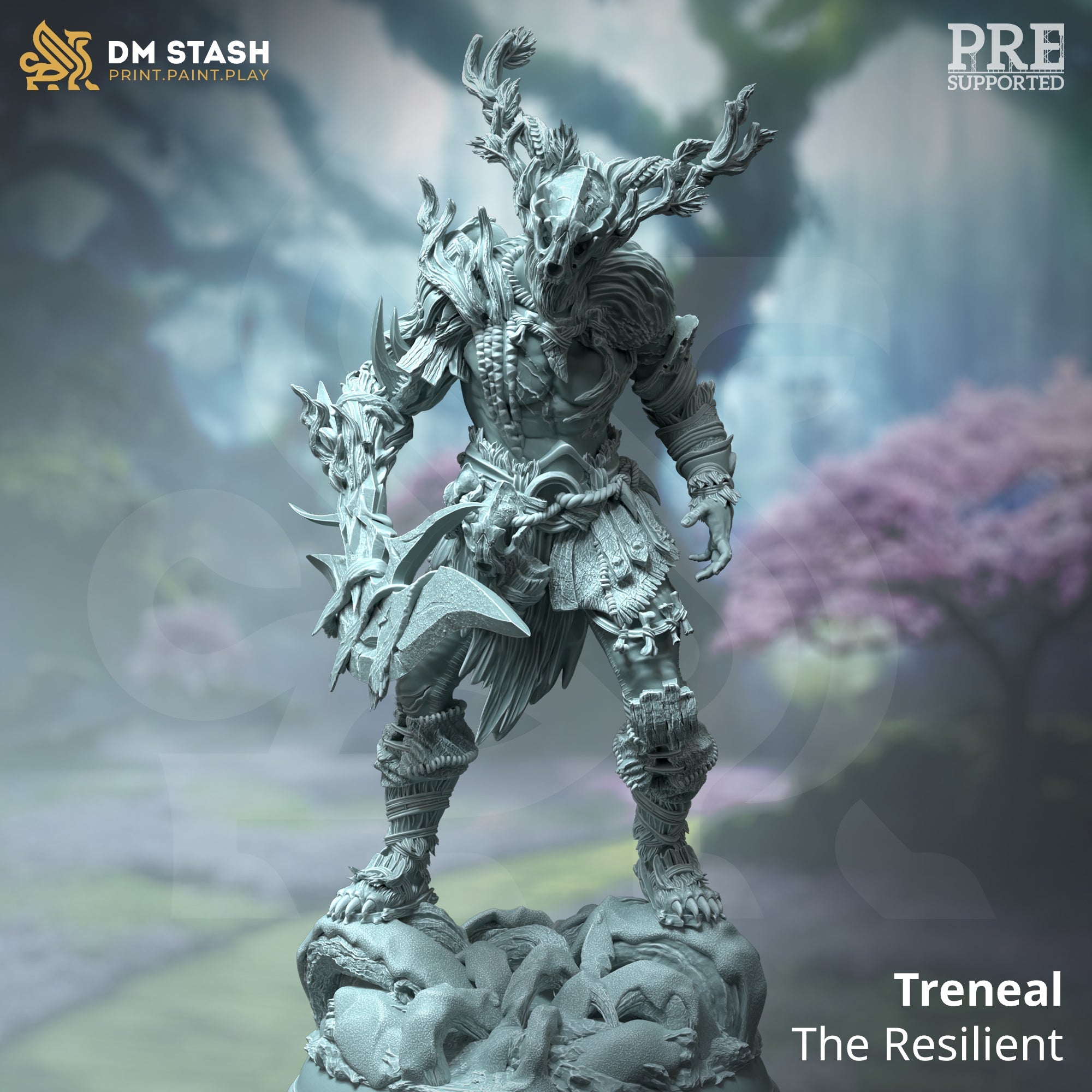 Treneal, the Resilient (Male Human Druid) Main image