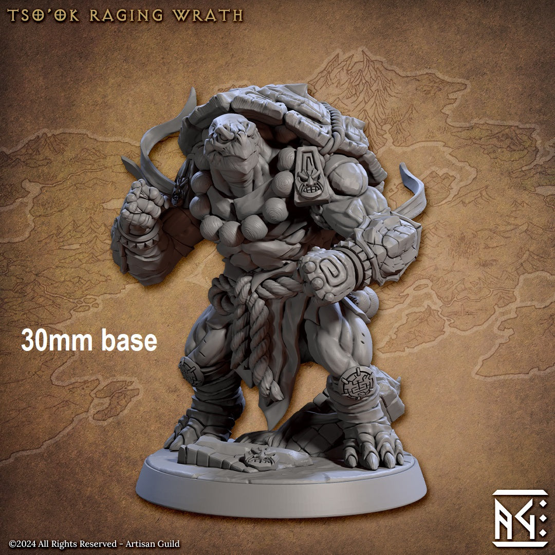 Tso'ok Raging Wrath (Male Turtlekin Monk) Main image