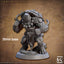 Tso'ok Raging Wrath (Male Turtlekin Monk) -