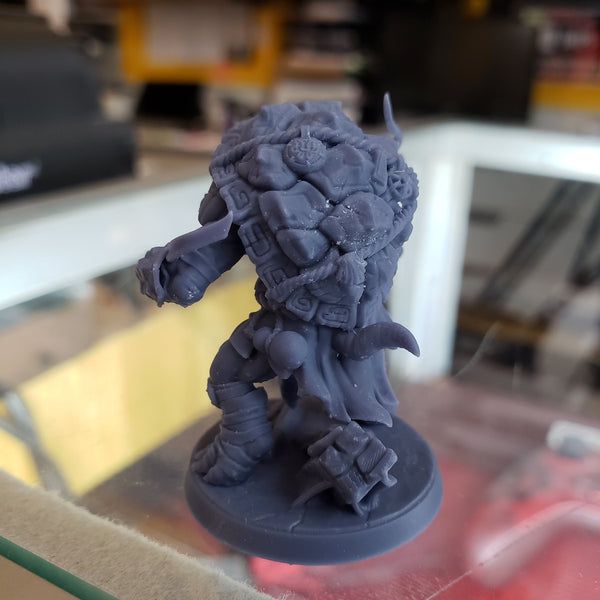 Tso'ok Raging Wrath (Male Turtlekin Monk)