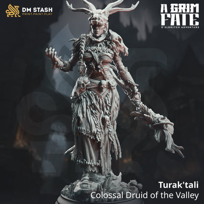 Turak'tali, Colossal Druid of the Valley (Female Goliath Druid)