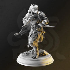 Umbrascale (Male Dragonborn Rogue)