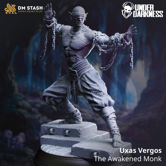Uxas Vergos, The Awakened Monk (Male Drow Monk)