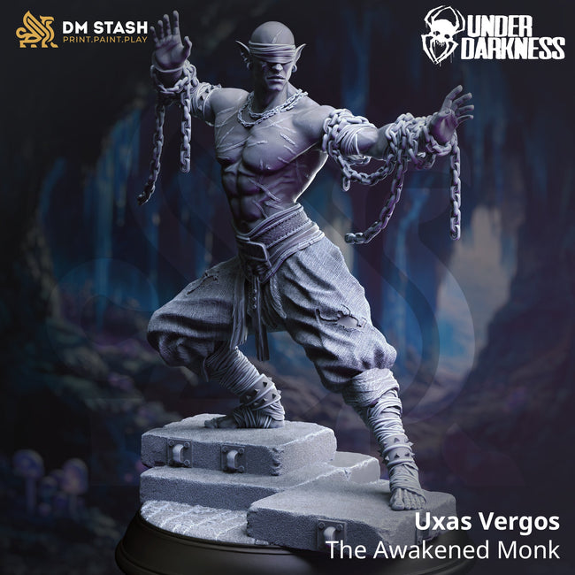 Uxas Vergos, The Awakened Monk (Male Drow Monk) - Hover Image
