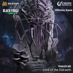 Vaezirak, Lord of the Eldraeth (Drider Abomination Epic Boss)