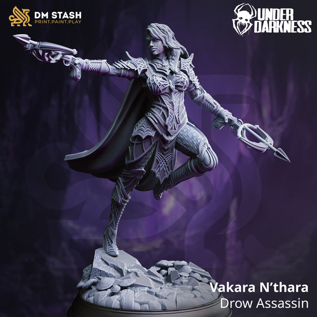 Vakara N’thara (Female Drow Assassin) - Hover Image