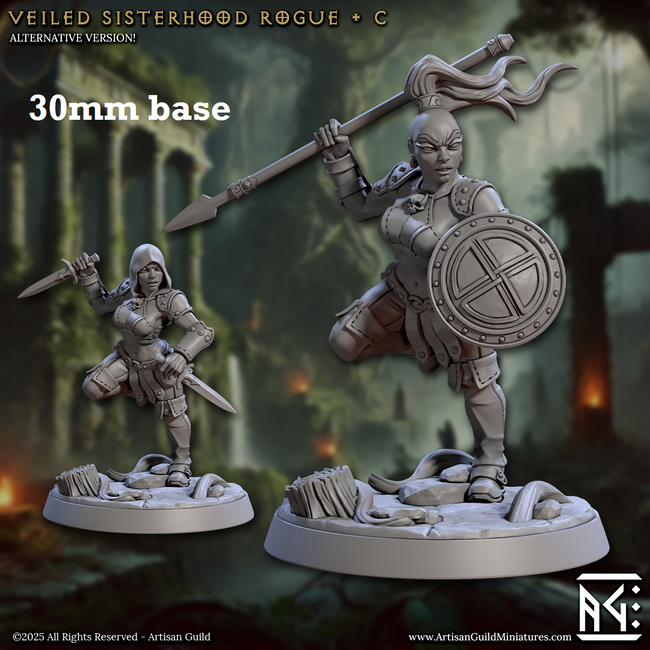Veiled Sisterhood Rogue: Sculpt C (Female Human Fighter / Assassin) - Hover Image