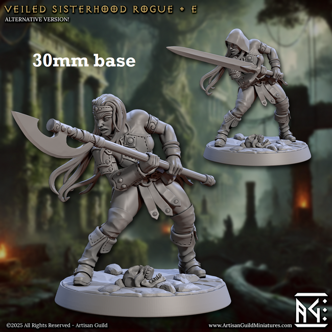 Veiled Sisterhood Rogue: Sculpt E (Female Human Fighter) - Hover Image