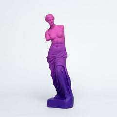 Venus de Milo Resin Statue - Today is Art Day - Collectors World Toys