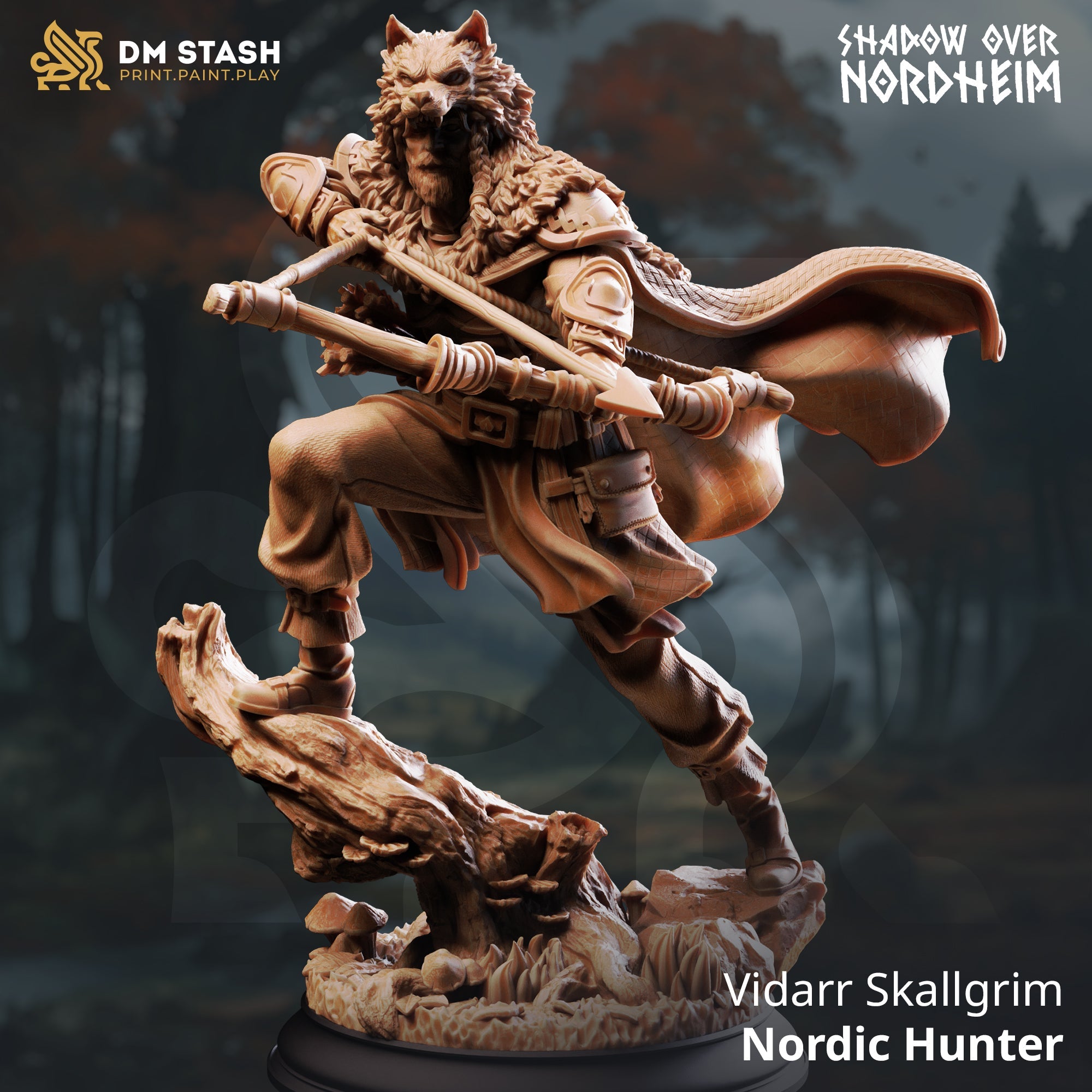 Vidarr Skallgrim, Nordic Hunter (Male Human Ranger) Main image
