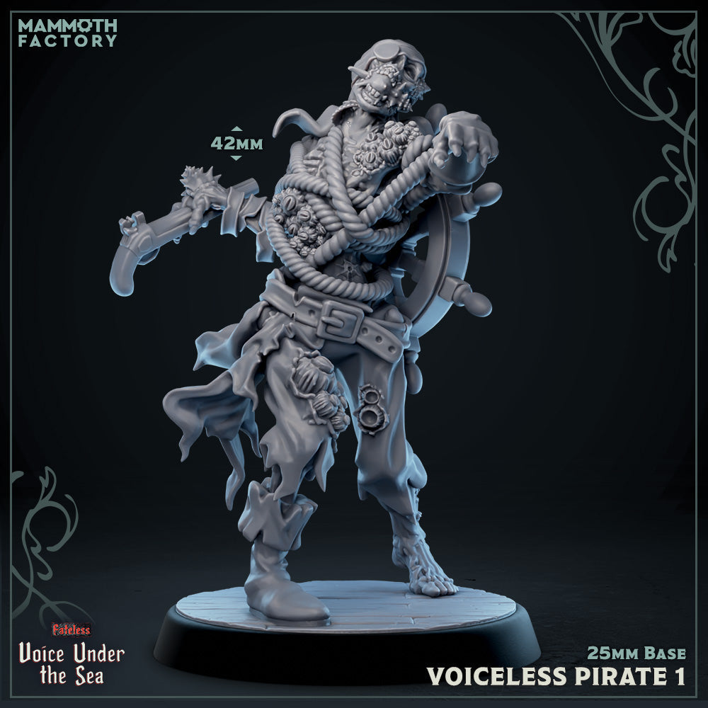 Voiceless Pirate 1 (Undead Pirate) Main image