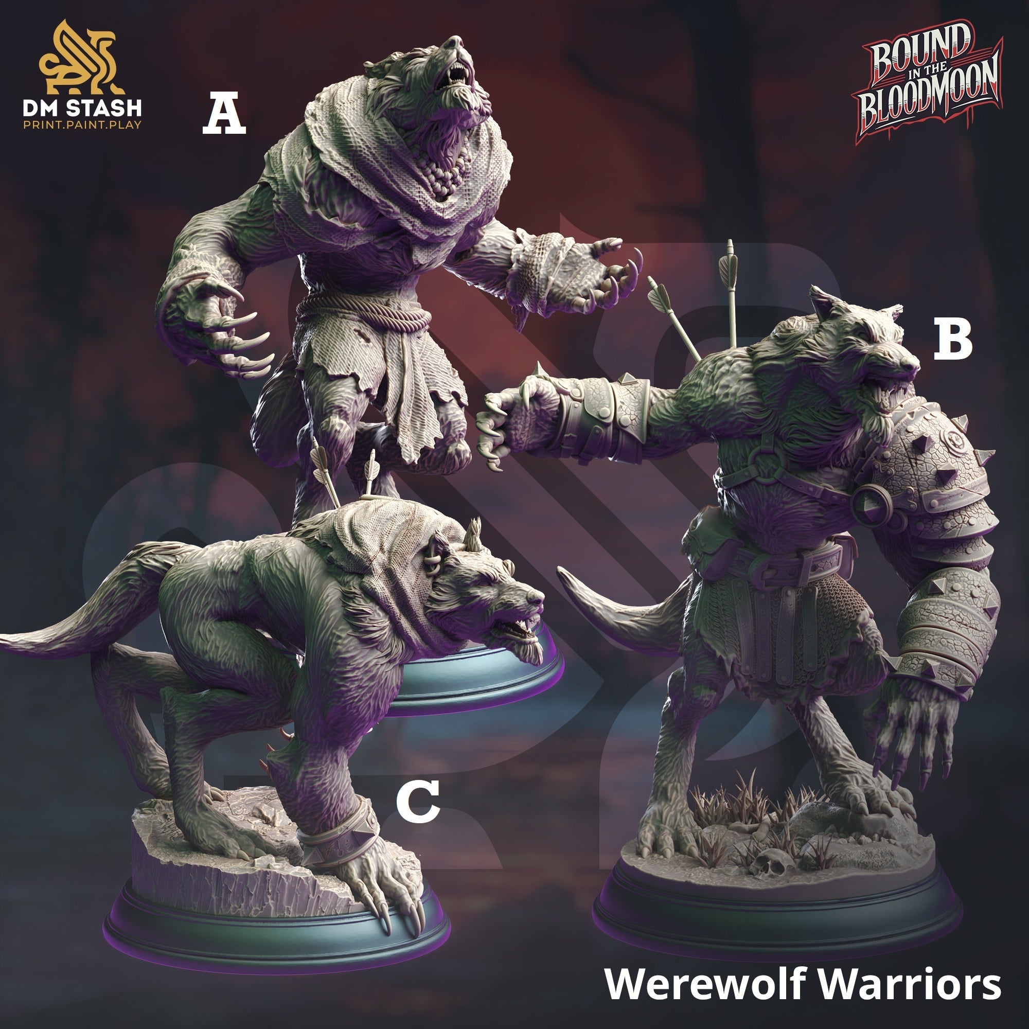Werewolf Warriors Main image
