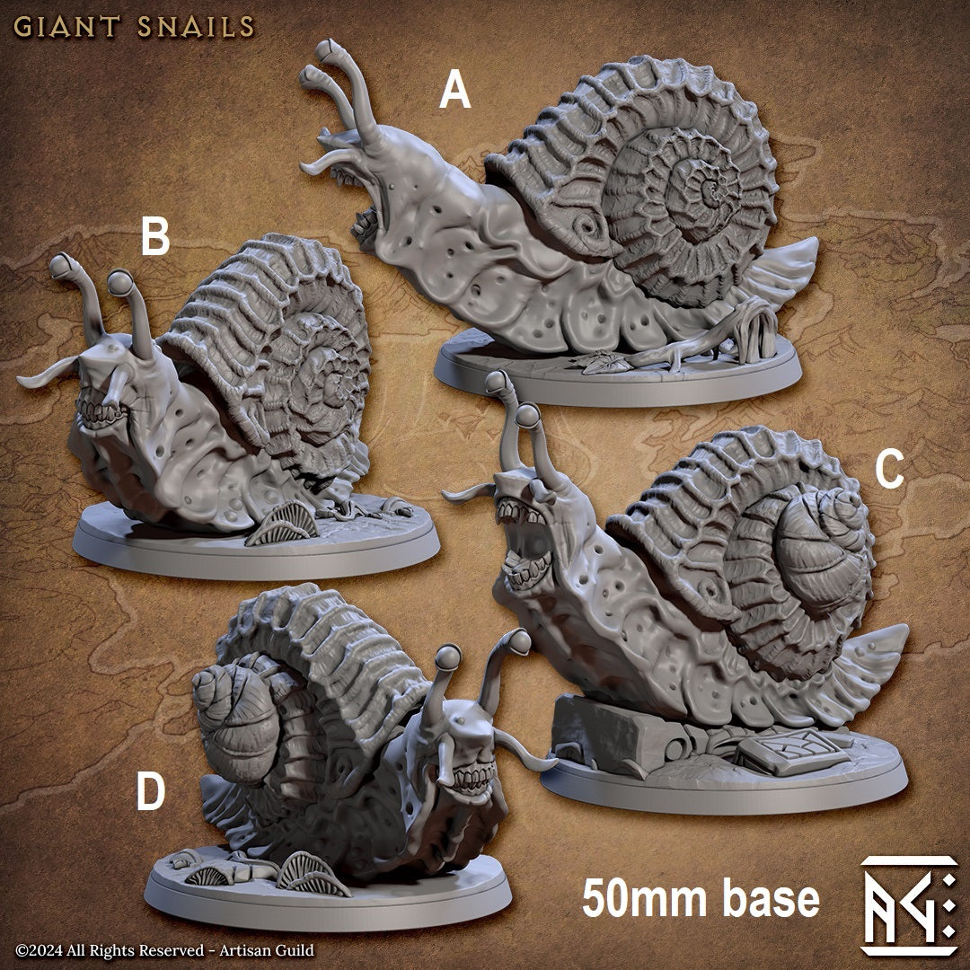 Wild Giant Snail Main image