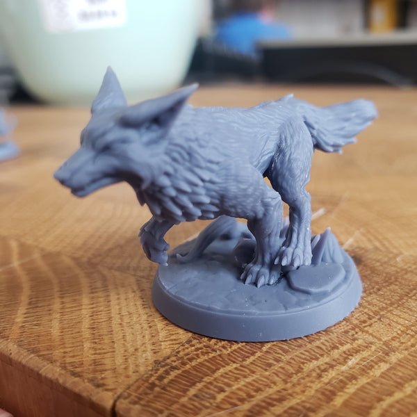 Wild Mystic Foxes